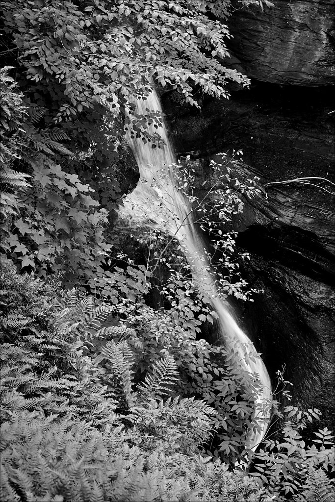 Mine Kill State Park 