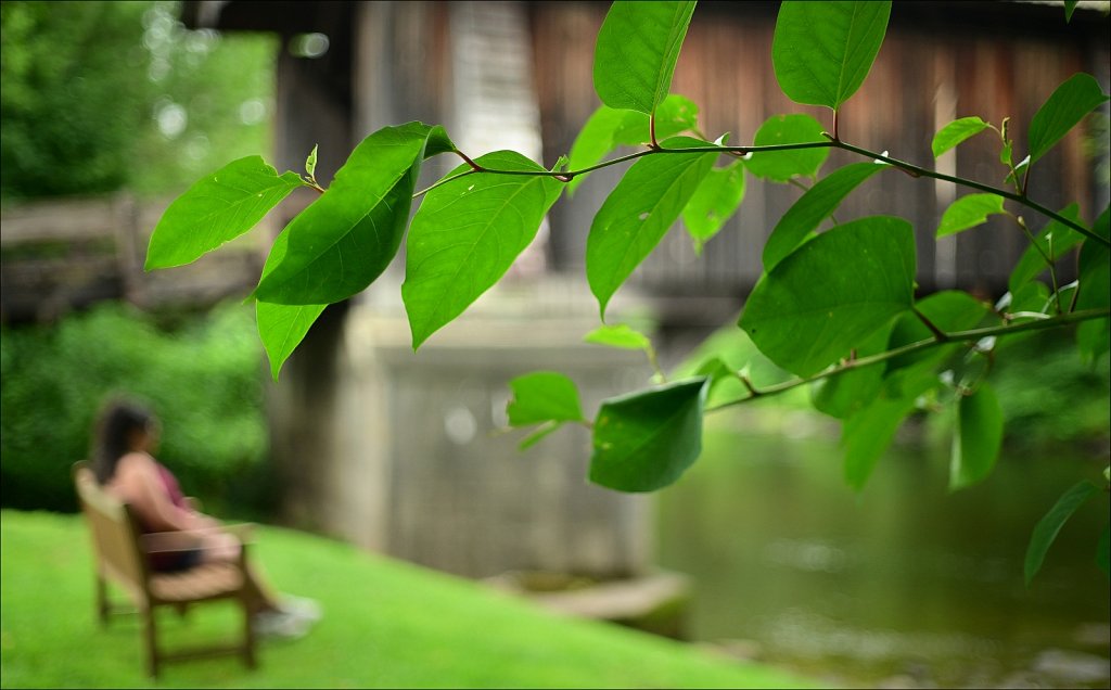 Livingston Manor Covered Bridge