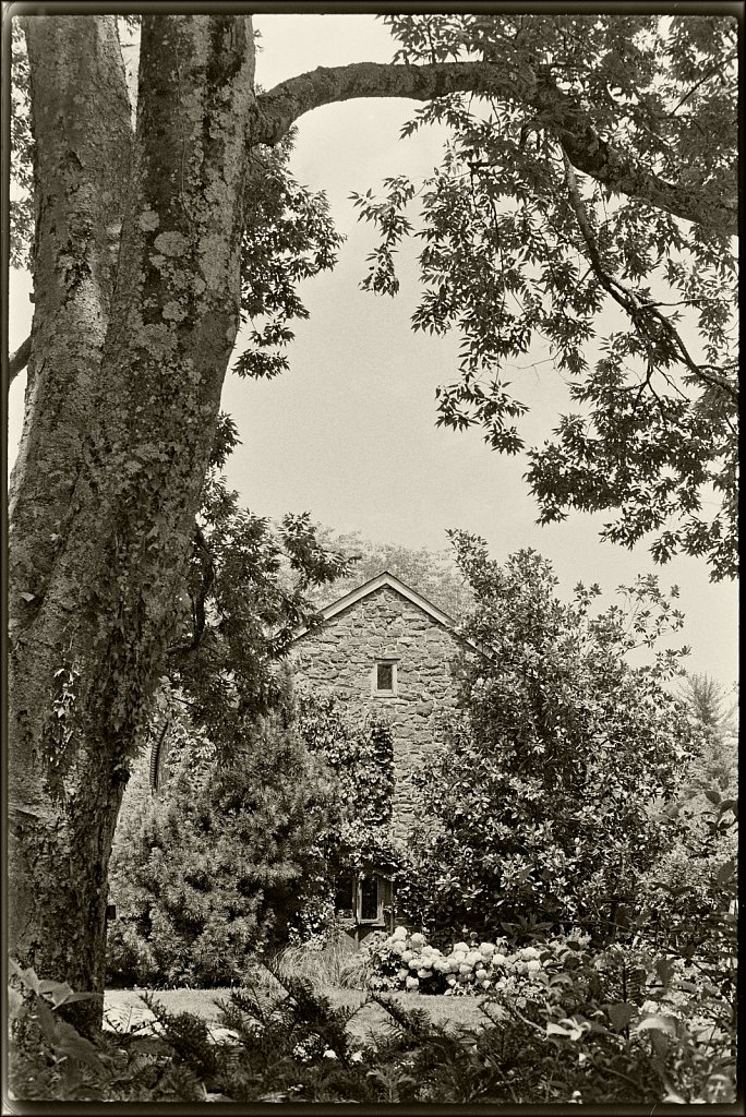 Willowwood Arboretum 