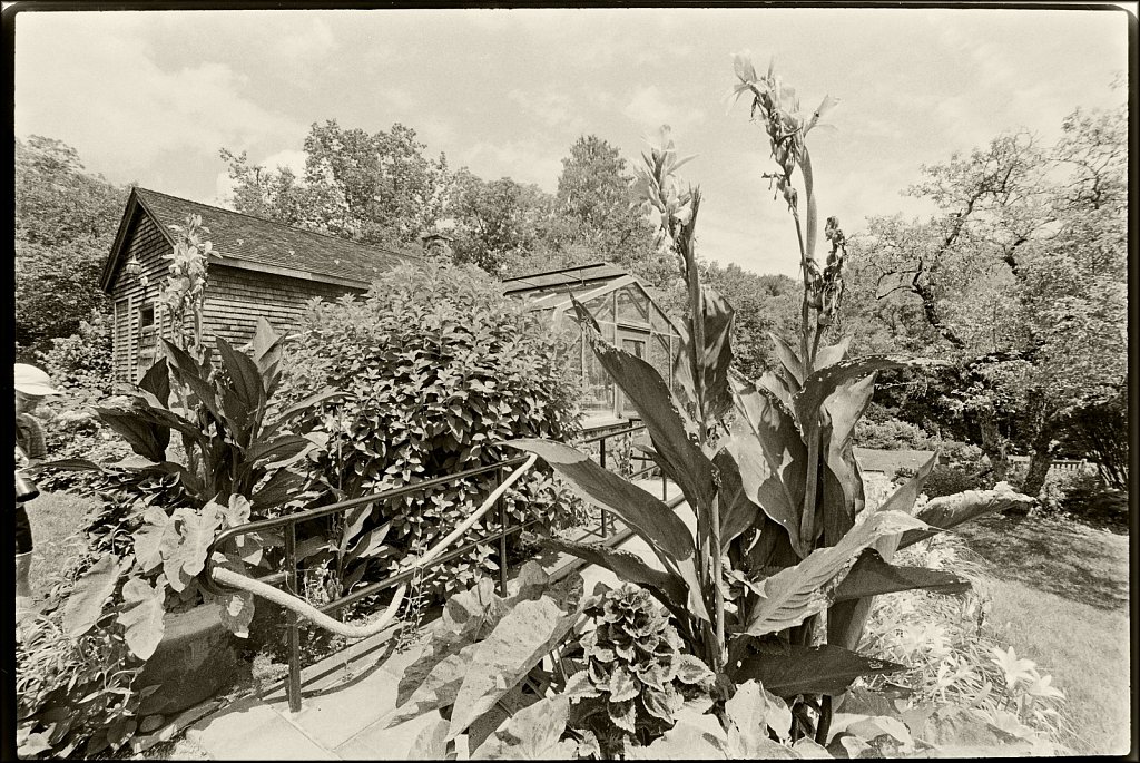 Willowwood Arboretum 