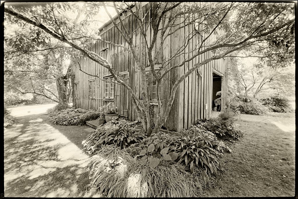 Willowwood Arboretum 