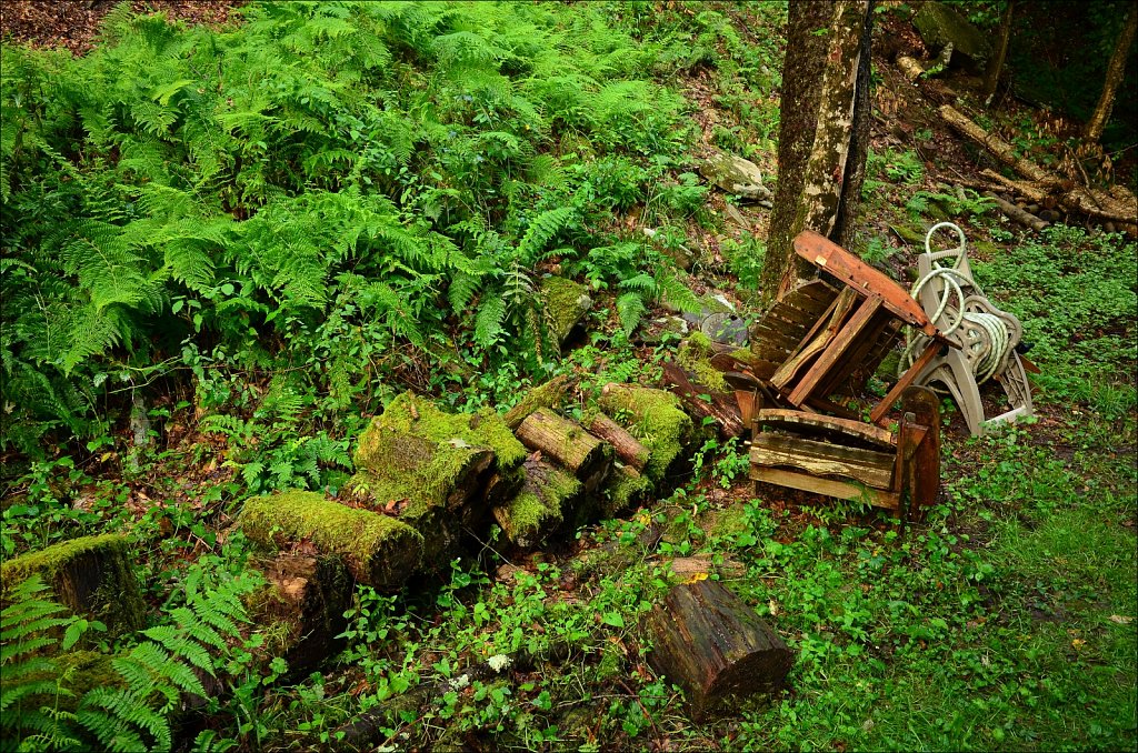 Upstate NY 2024