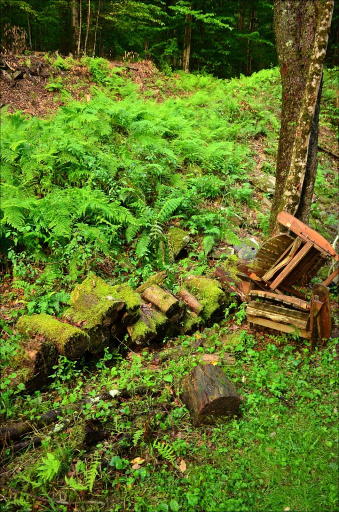 Upstate NY 2024