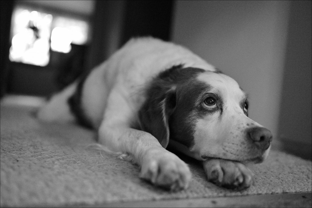 Test Shots with New Z9 (#2)
