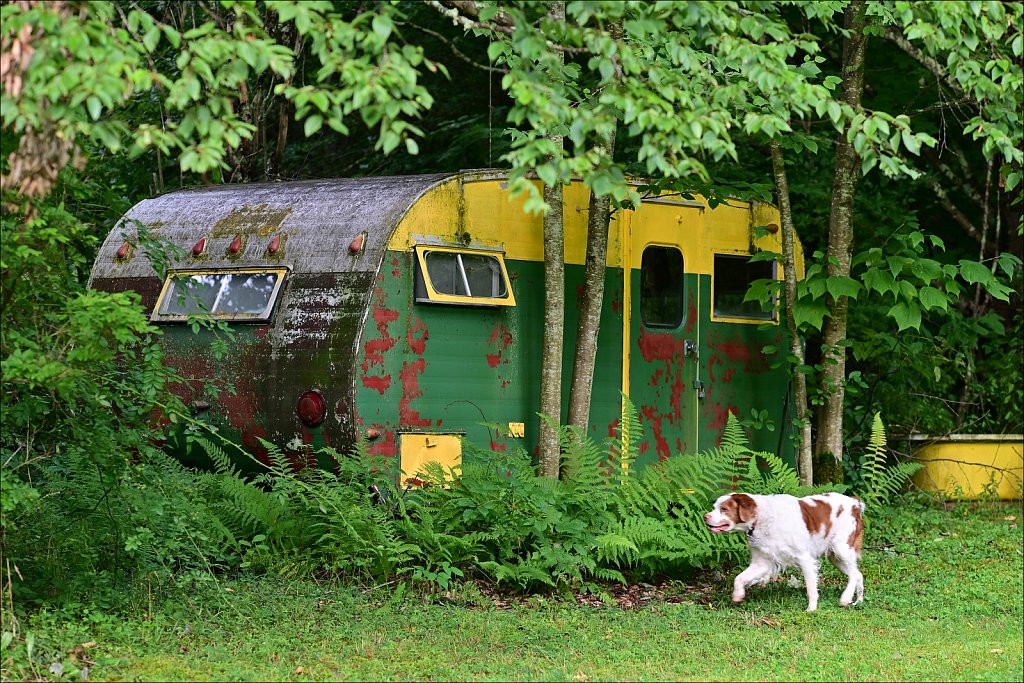 Upstate NY 2024