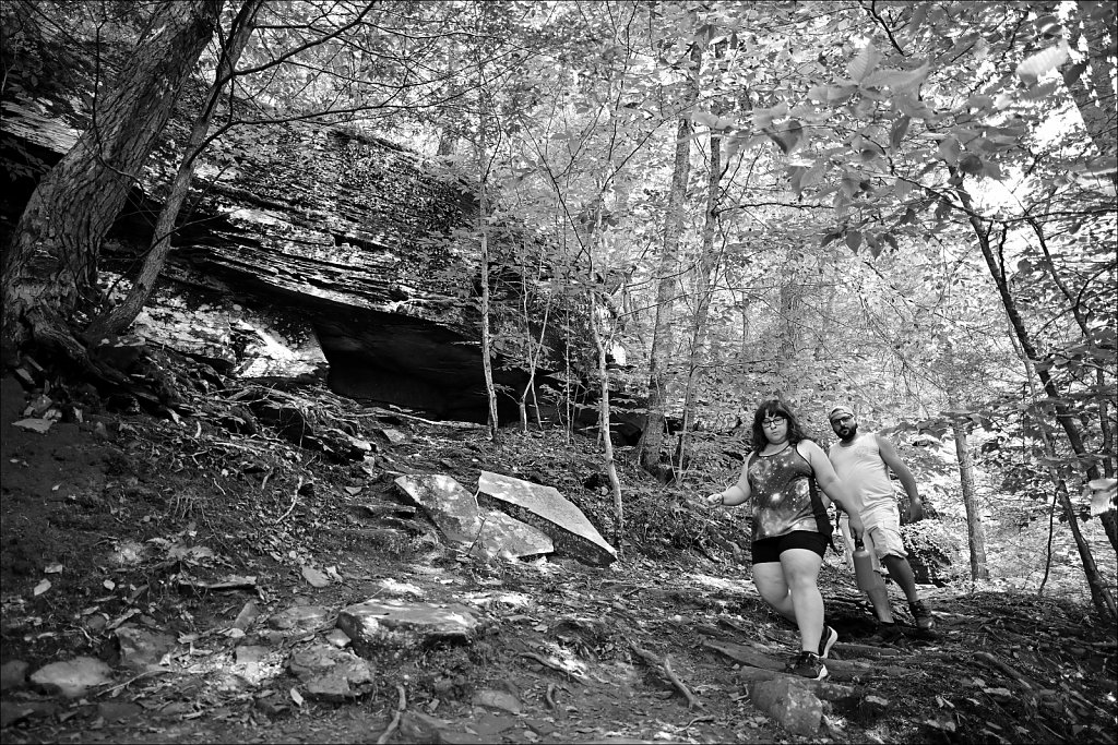 Upstate NY 2024