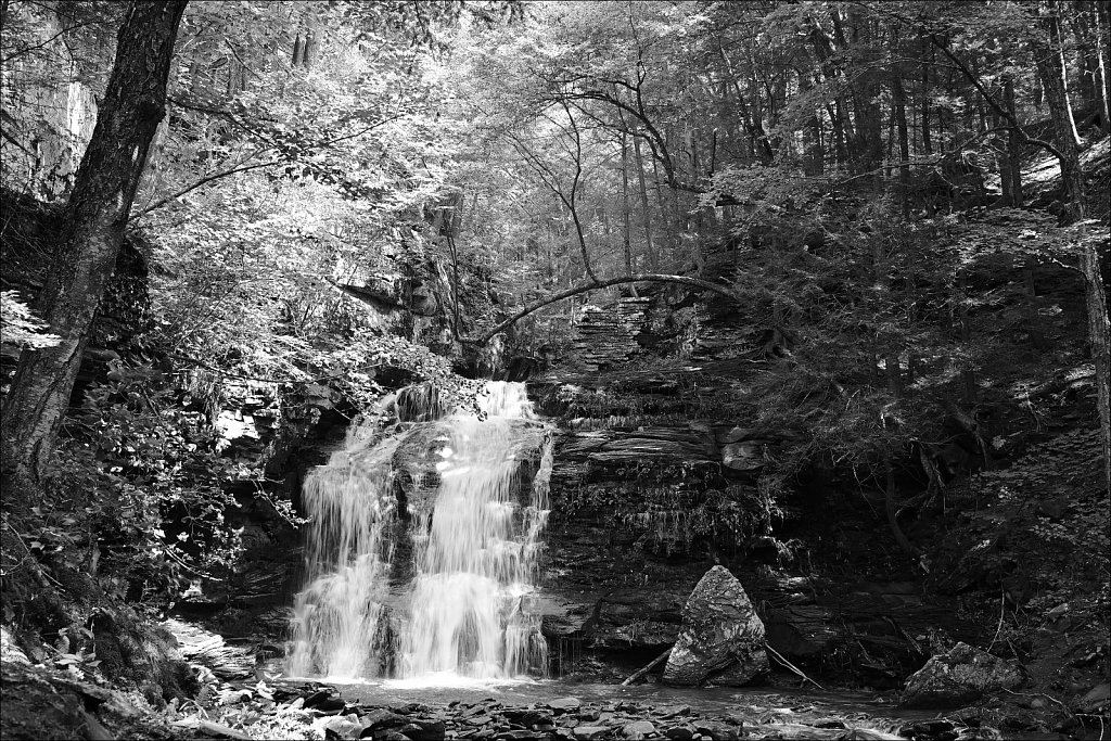 Upstate NY 2024