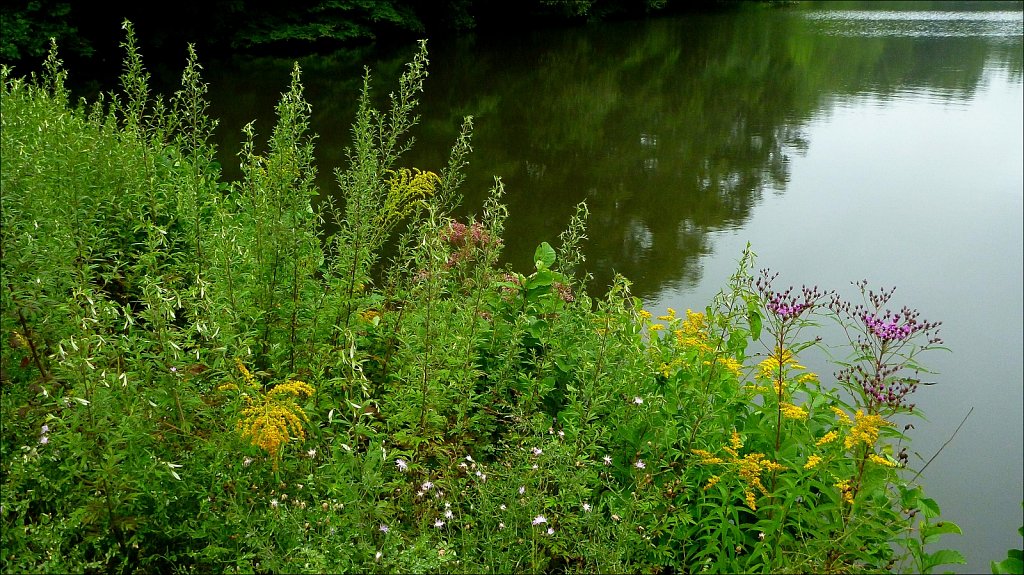 Schooley's Mountain Park 