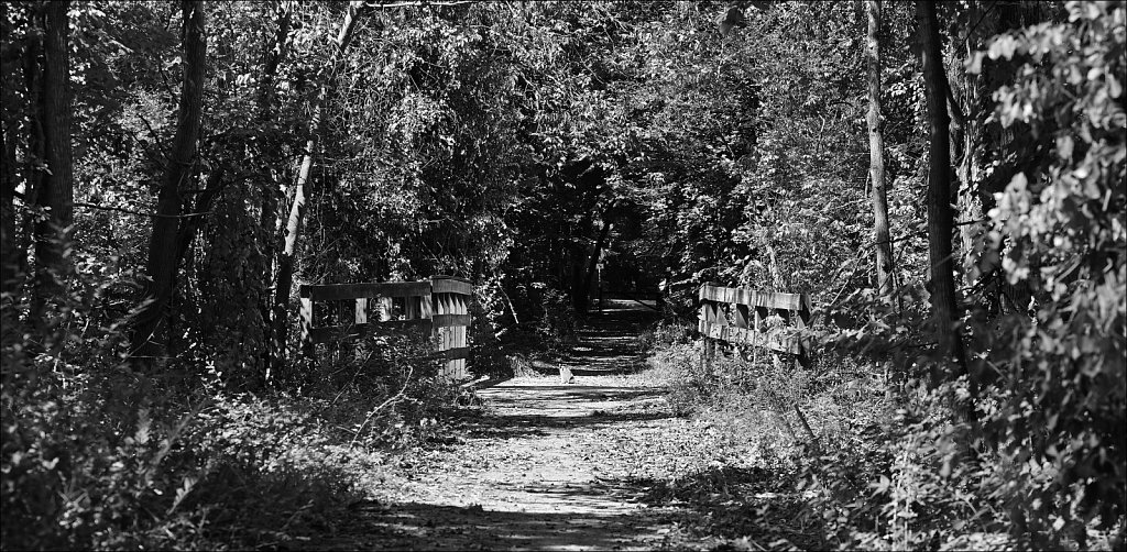 Sussex Branch Trail