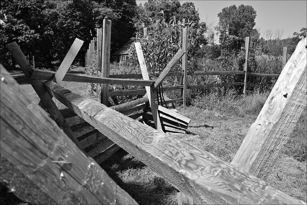 Jockey Hollow 