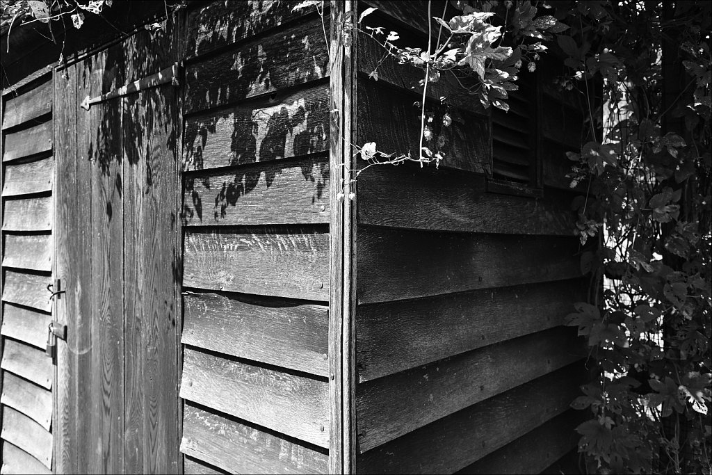 Jockey Hollow 