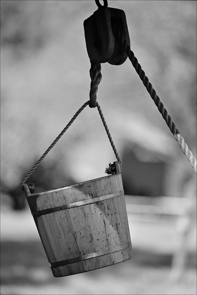 Jockey Hollow 