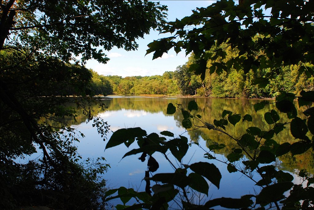 Speedwell Lake Park 