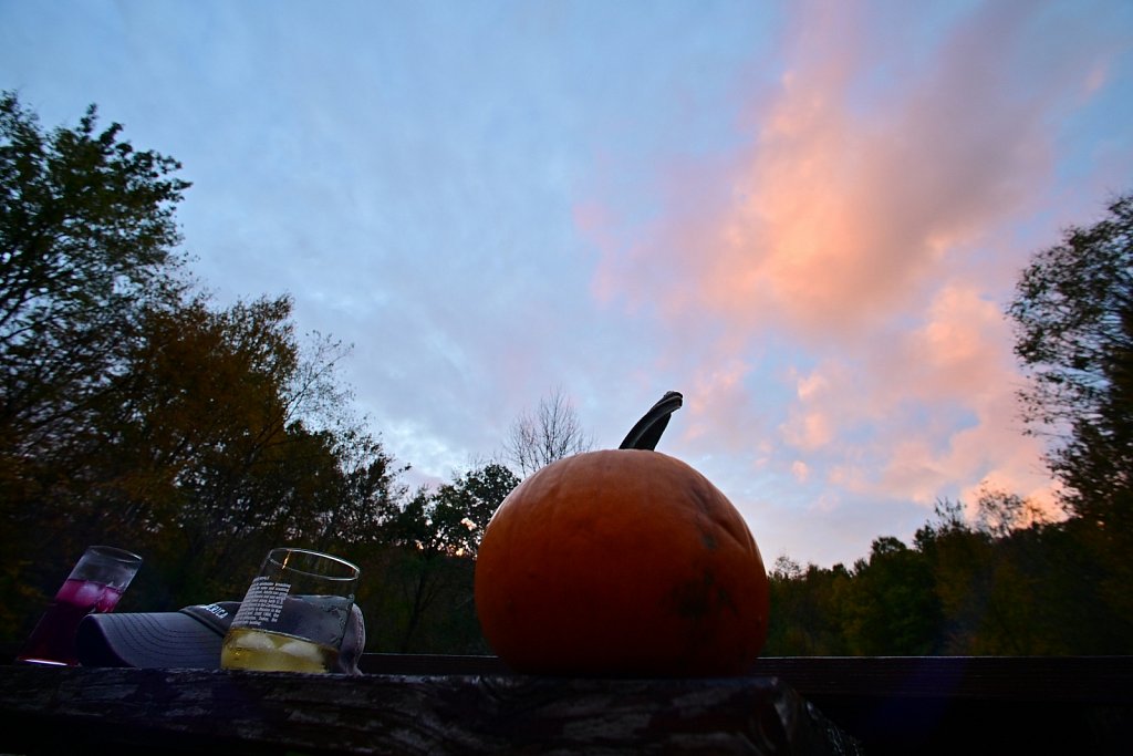 Fall 2024 Upstate NY
