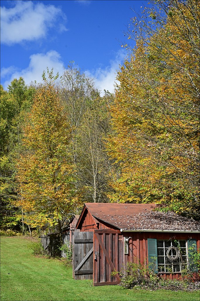 Fall 2024 Upstate NY