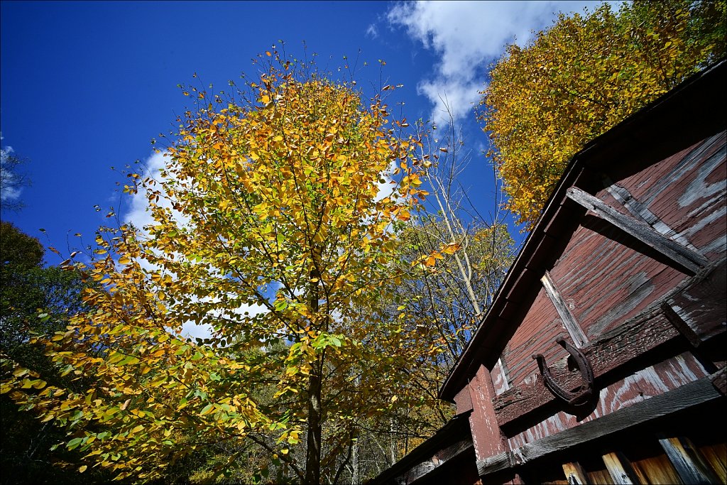 Fall 2024 Upstate NY