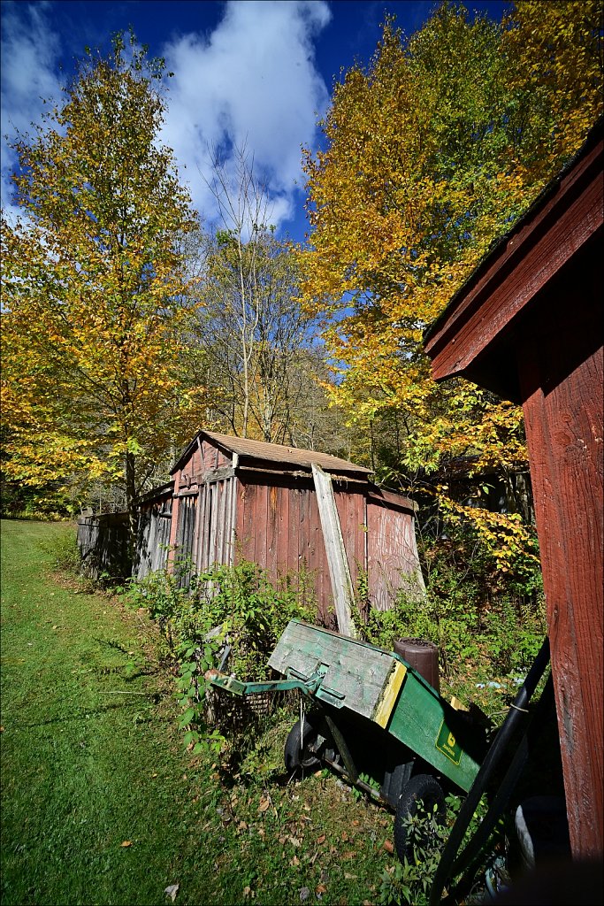 Fall 2024 Upstate NY