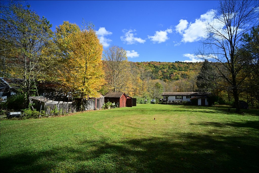 Fall 2024 Upstate NY