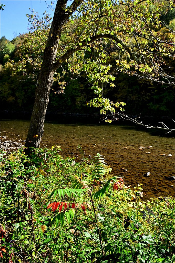 Fall 2024 Upstate NY