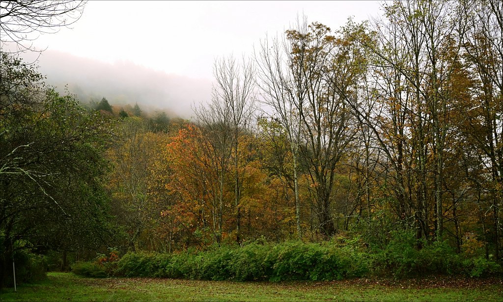 Fall 2024 Upstate NY