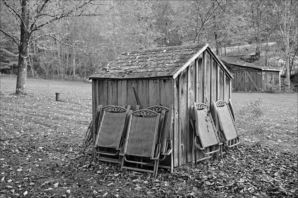 Fall 2024 Upstate NY