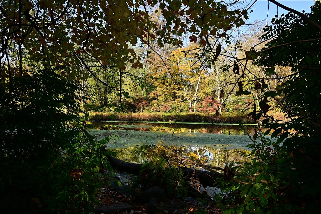 Stephens State Park