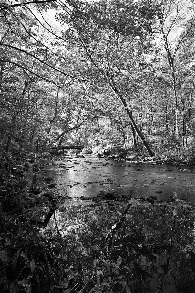 Stephens State Park