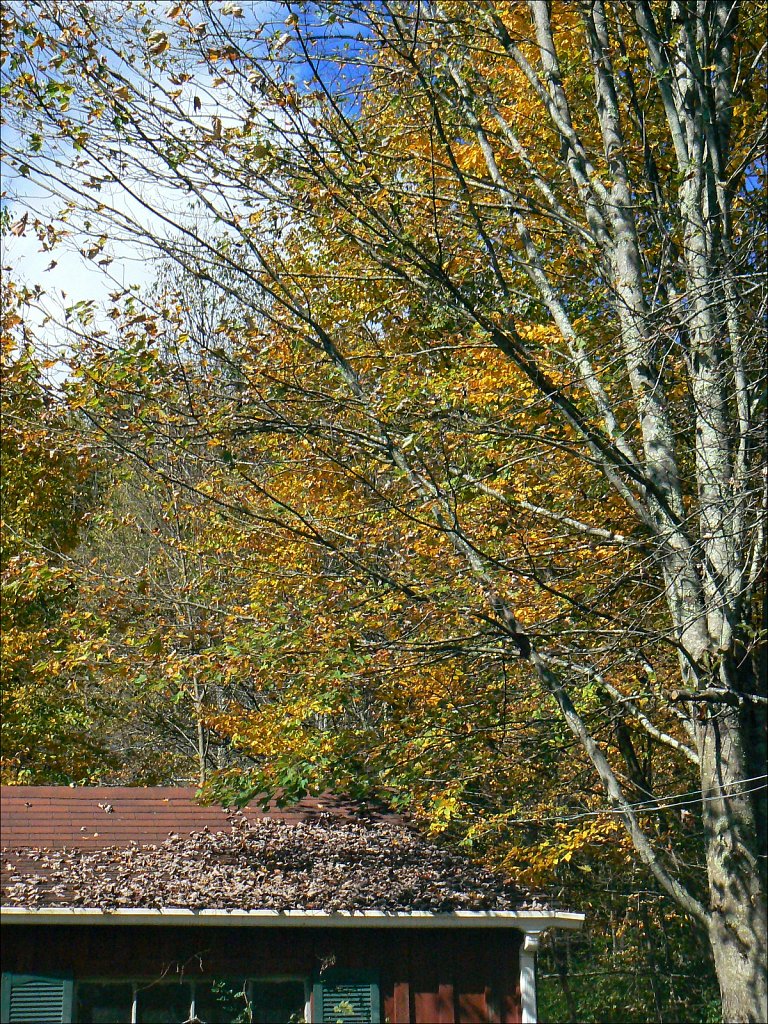 2024231F-P1060191.jpg