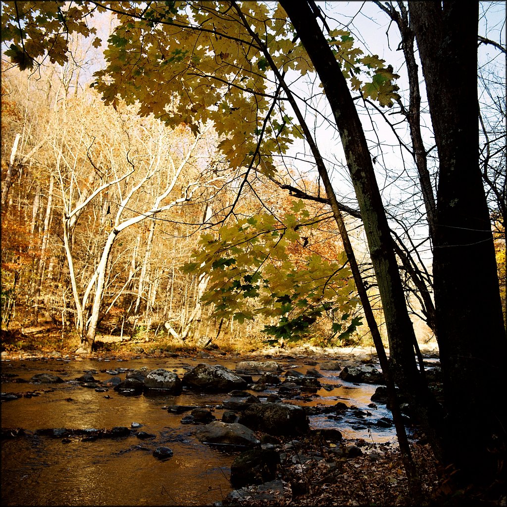 Ken Lockwood Gorge WMA 