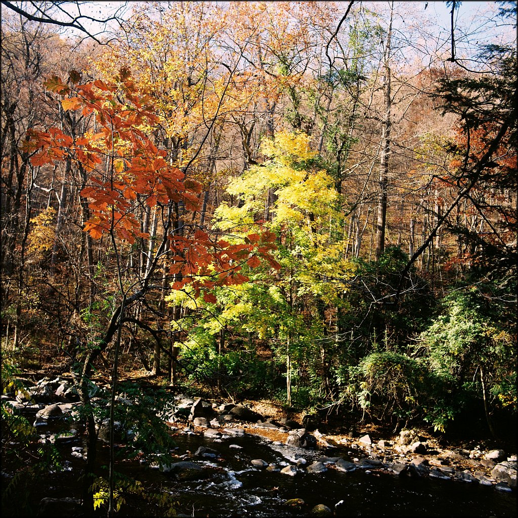 Ken Lockwood Gorge WMA 