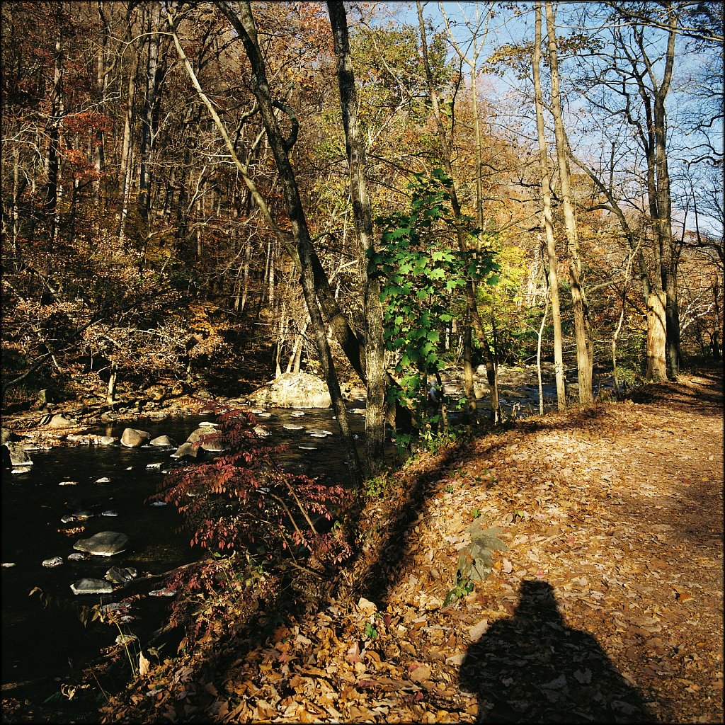 Ken Lockwood Gorge WMA 