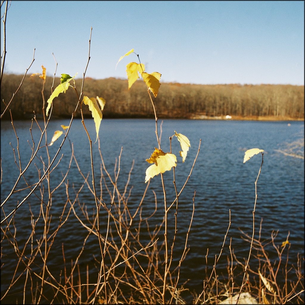 MAHLON DICKERSON RESERVATION 