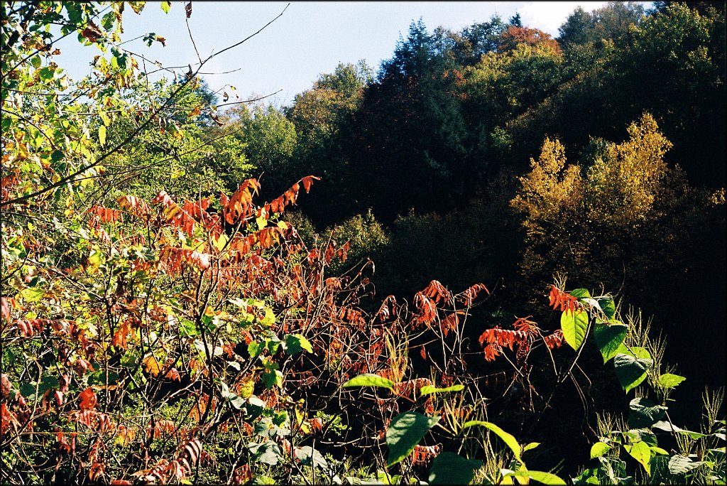 Fall 2024 Upstate NY  