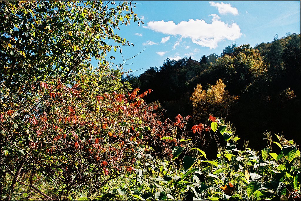 Fall 2024 Upstate NY  