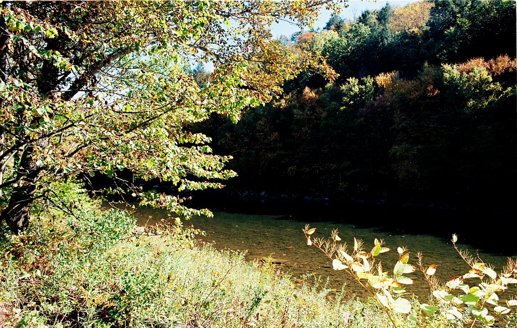 Fall 2024 Upstate NY  