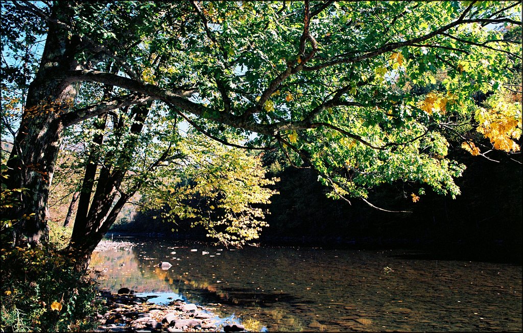 Fall 2024 Upstate NY  