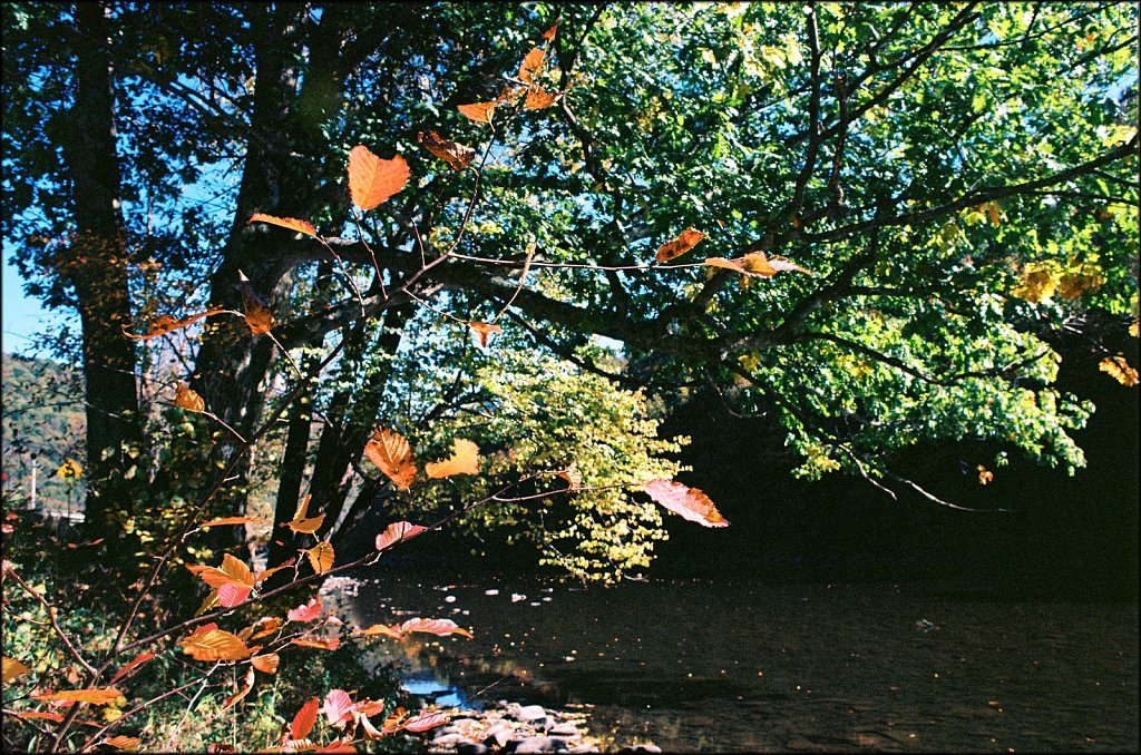 Fall 2024 Upstate NY  