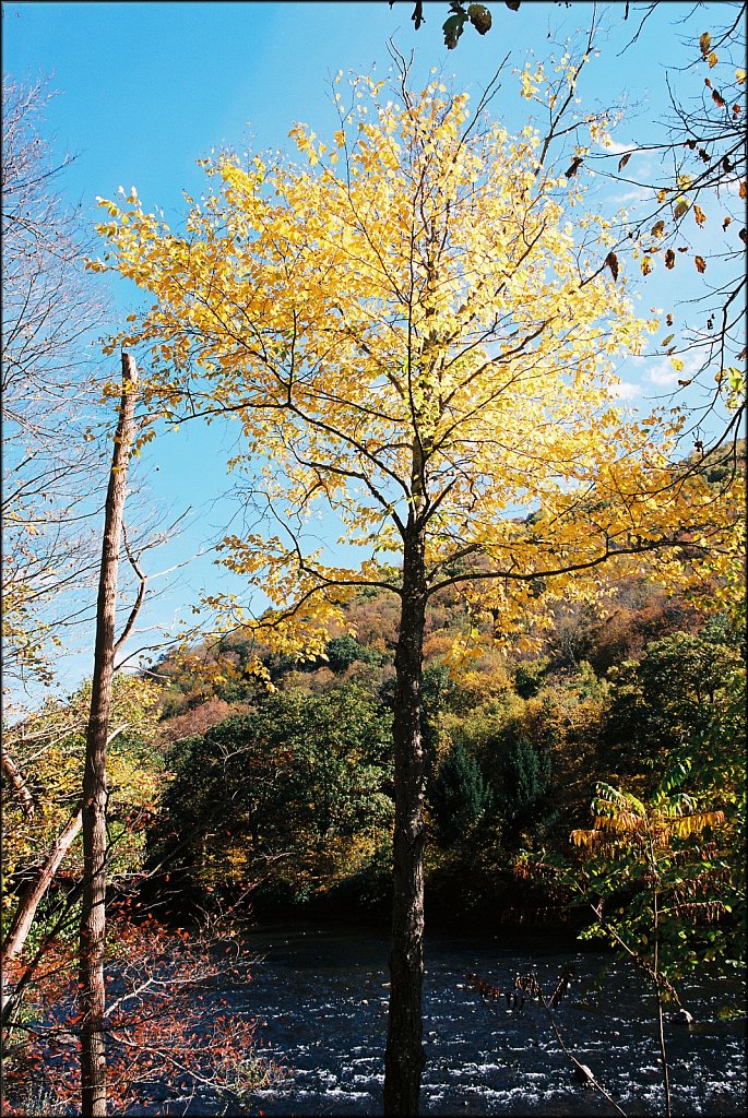Fall 2024 Upstate NY  