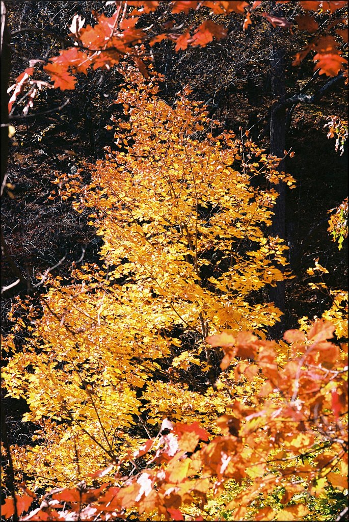 Columbia Trail 