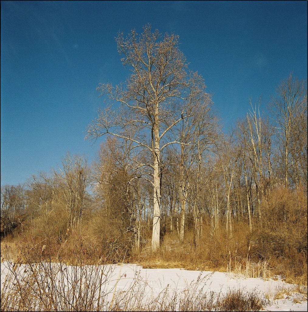 Sussex Branch Trail