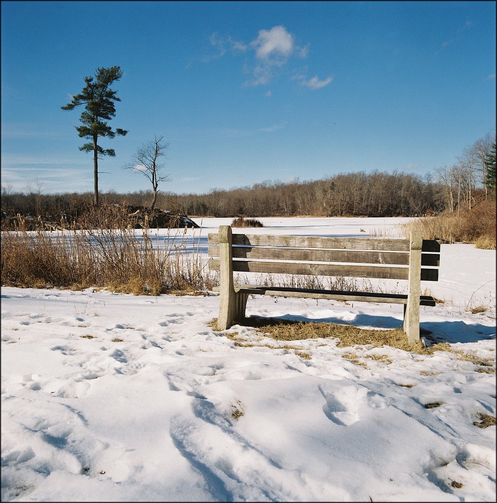 Sussex Branch Trail