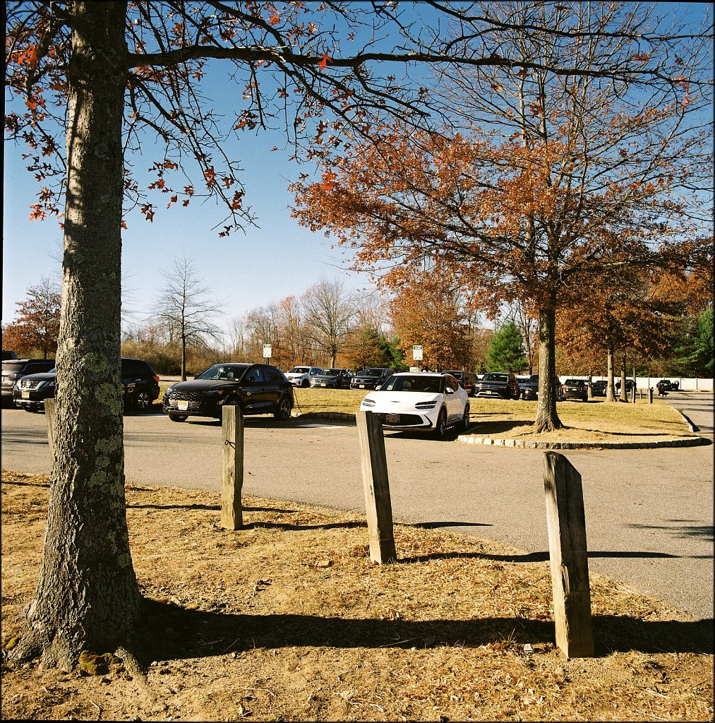 Turkey Brook Park