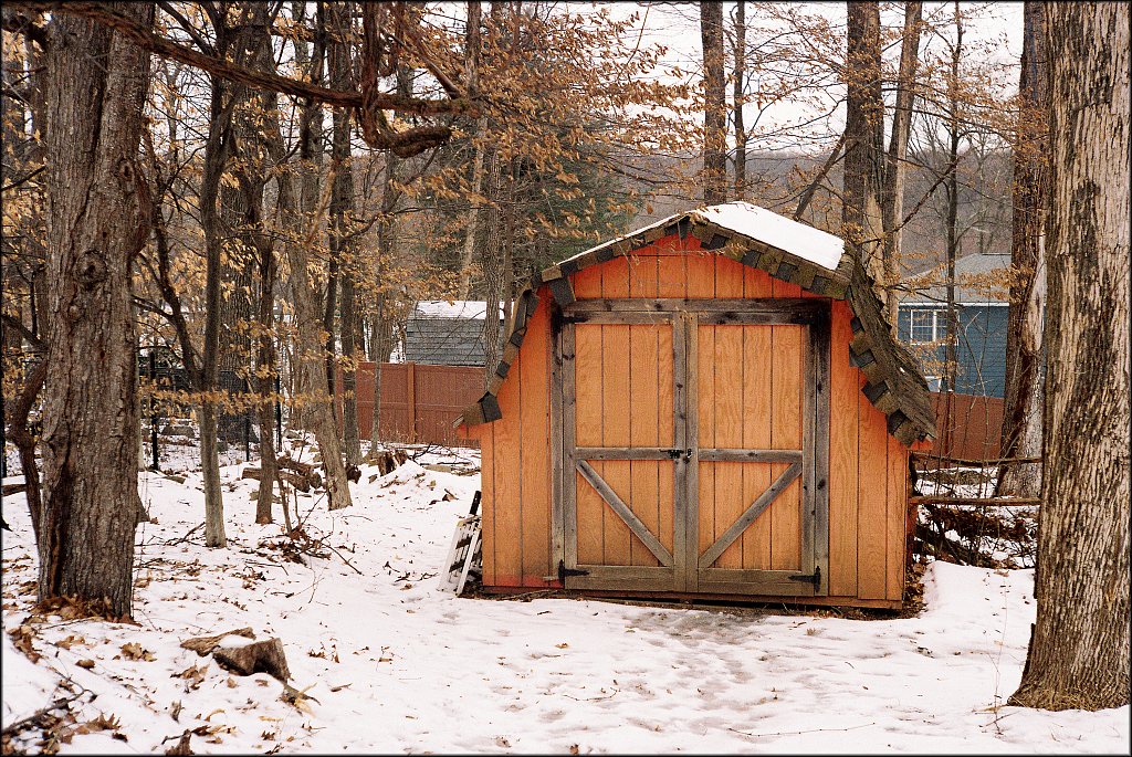 Leica IIIF test