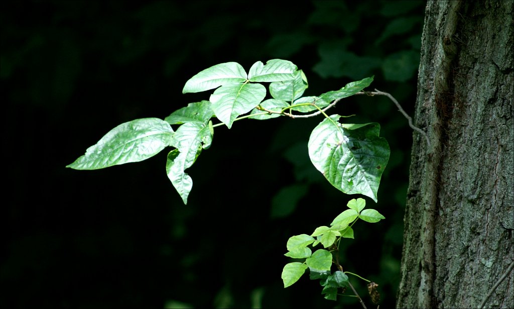 2025162F-PICT2453.jpg