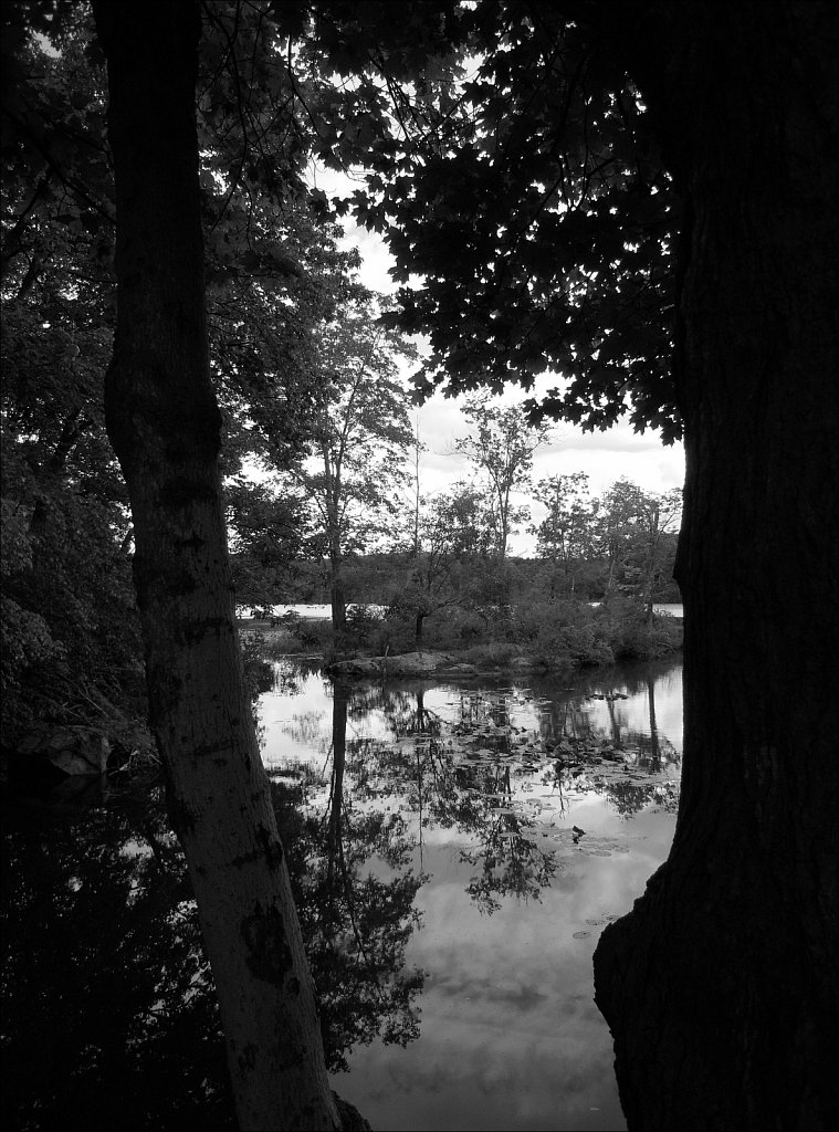 Nikon Coolpix S600