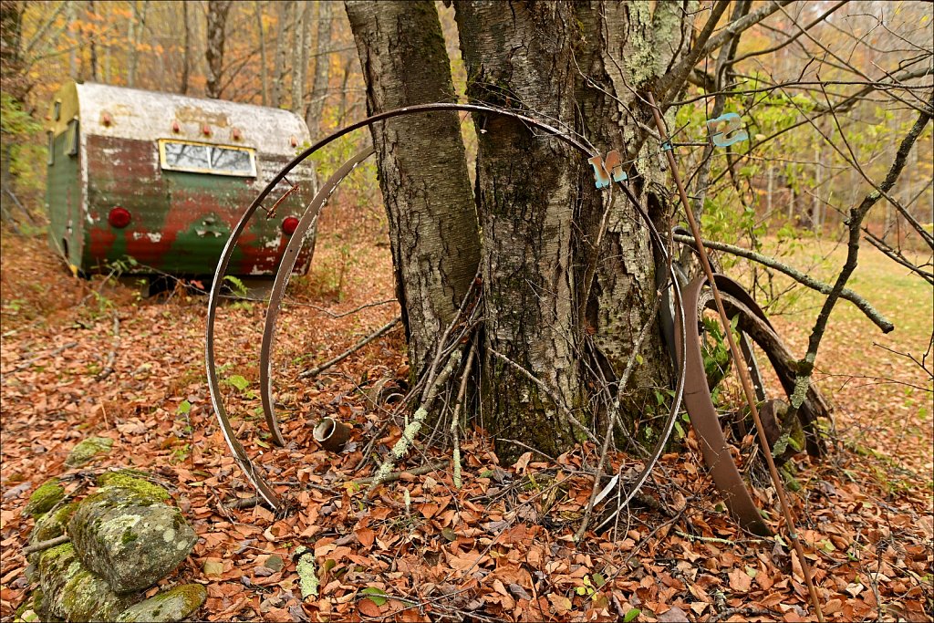 Fall 2025 Upstate NY