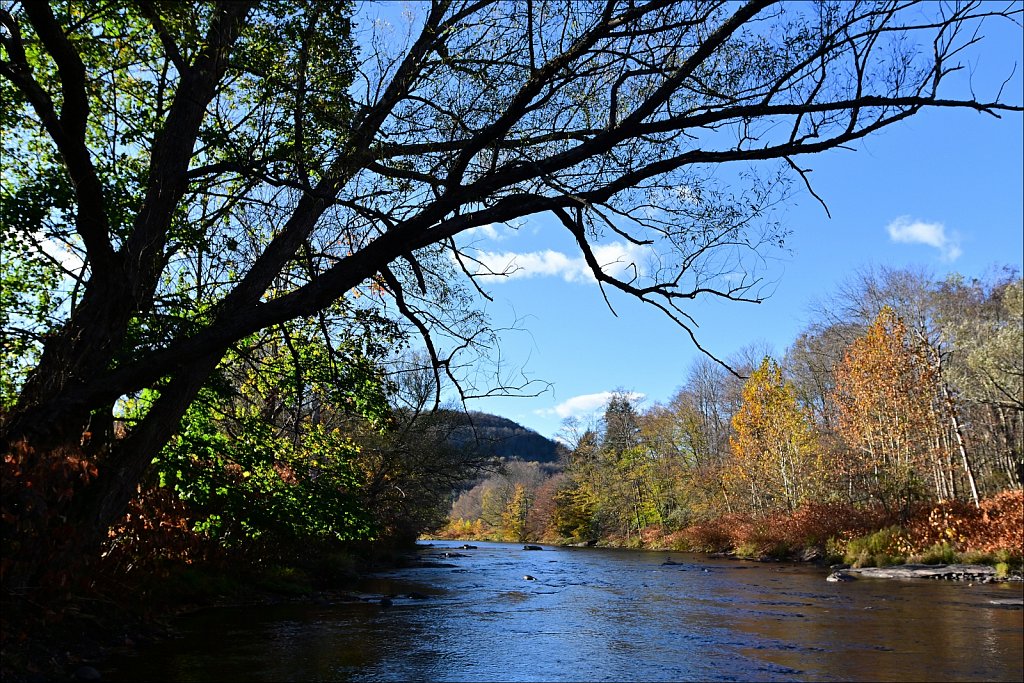 Livingston Manor Covered Bridge